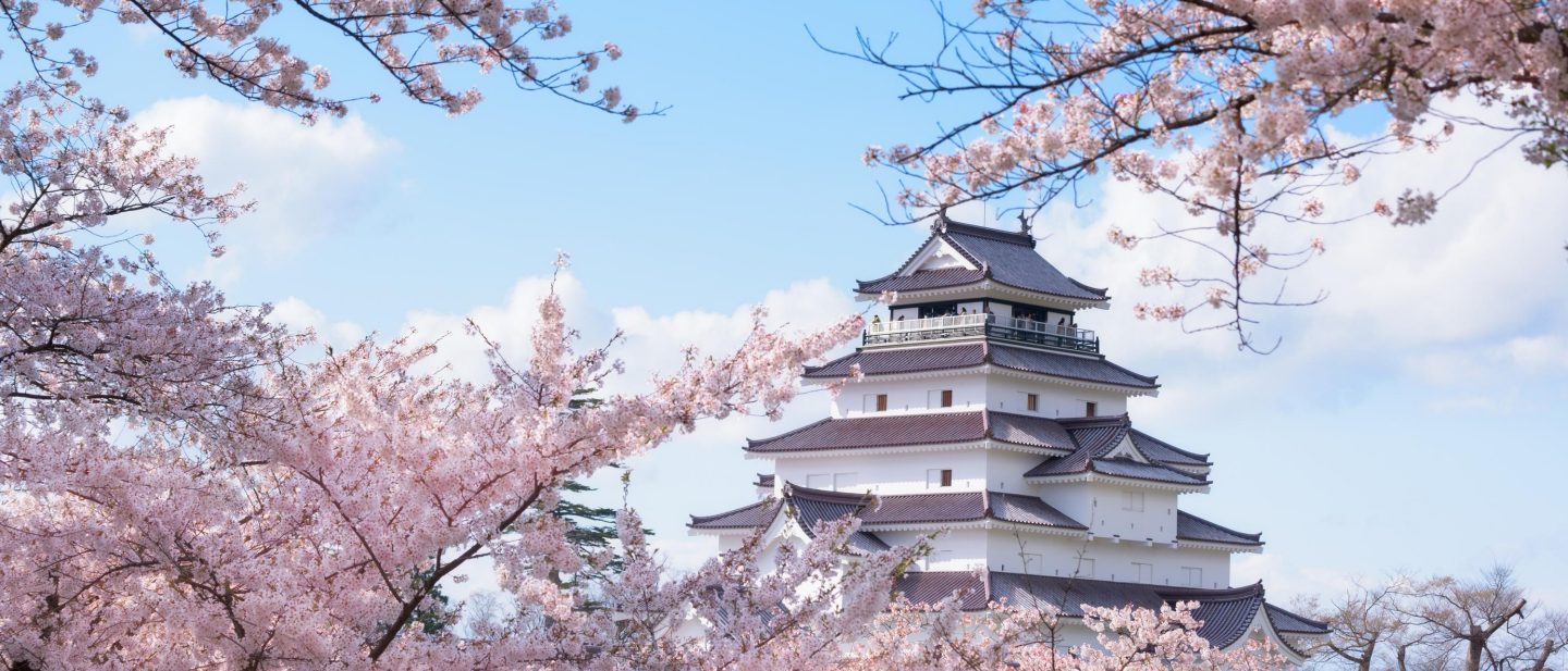 Historic Japanese castle surrounded by blooming cherry blossoms under a blue sky.
