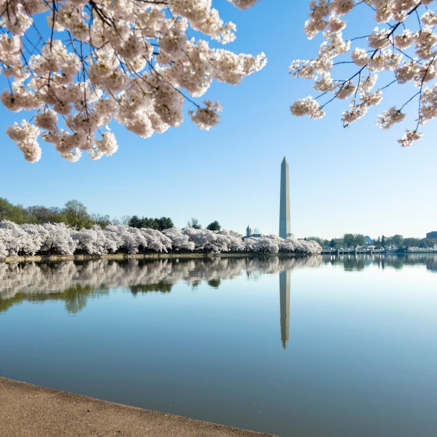 Washington