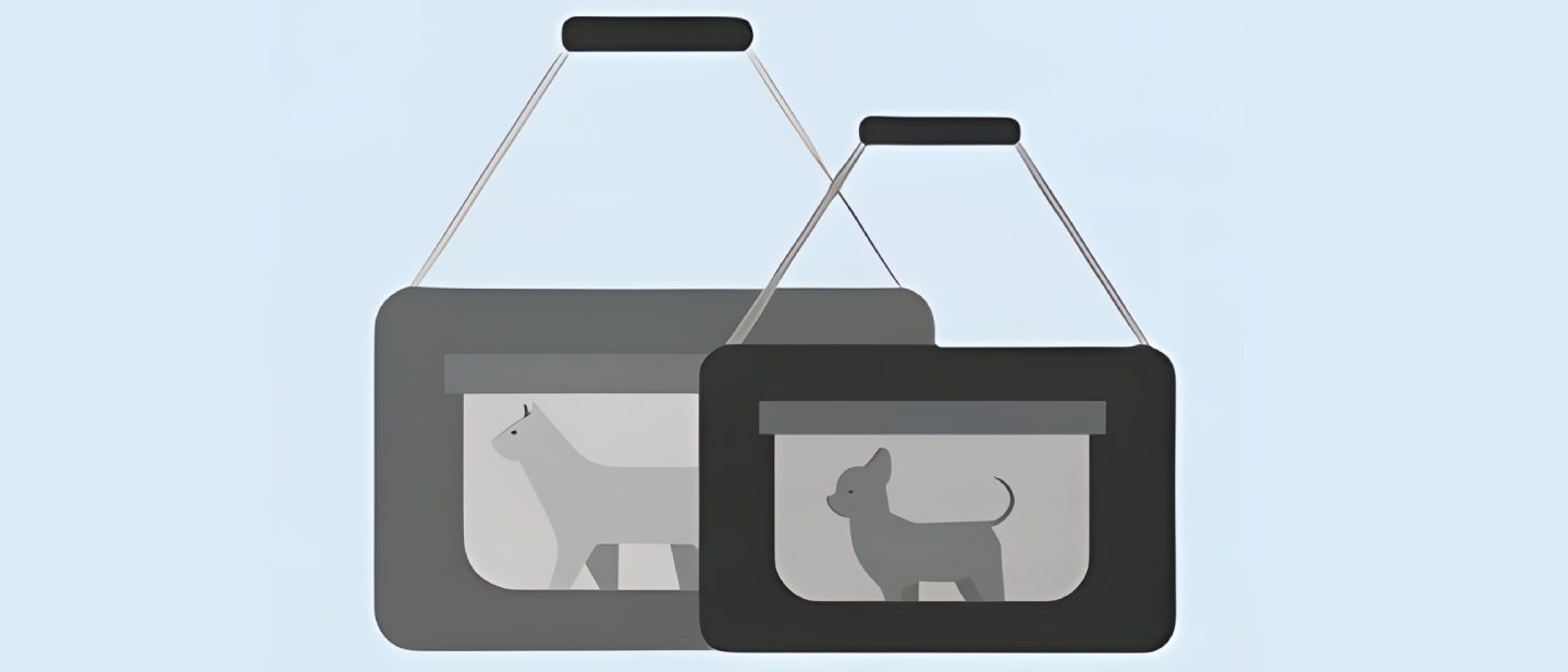 Illustration of a travel carrier for animals in the cabin