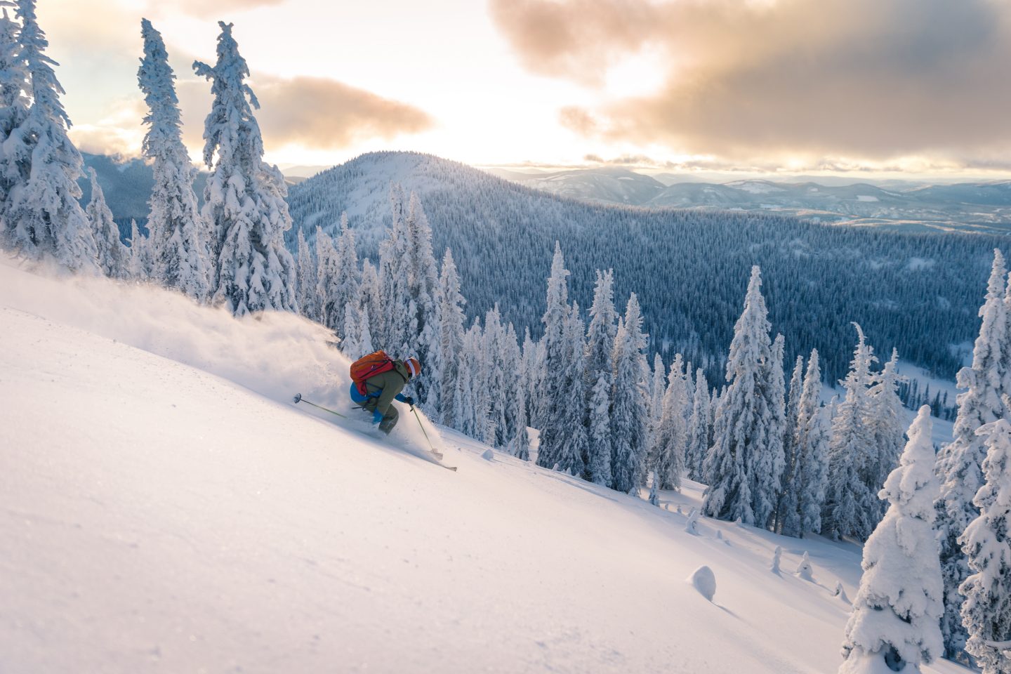 Snowy landscape