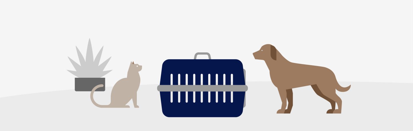 Travelling With Animals