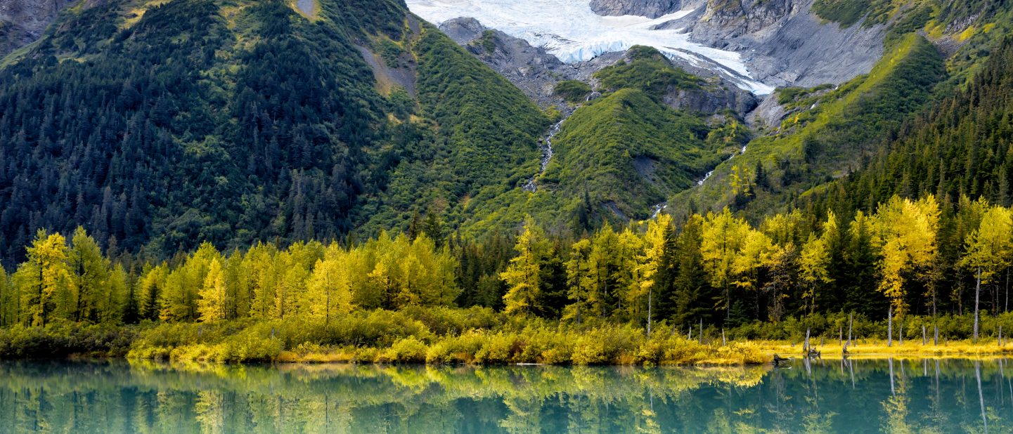 A State Park near Anchorage, Alaska