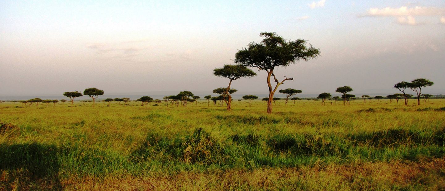 Picture of  Nairobi