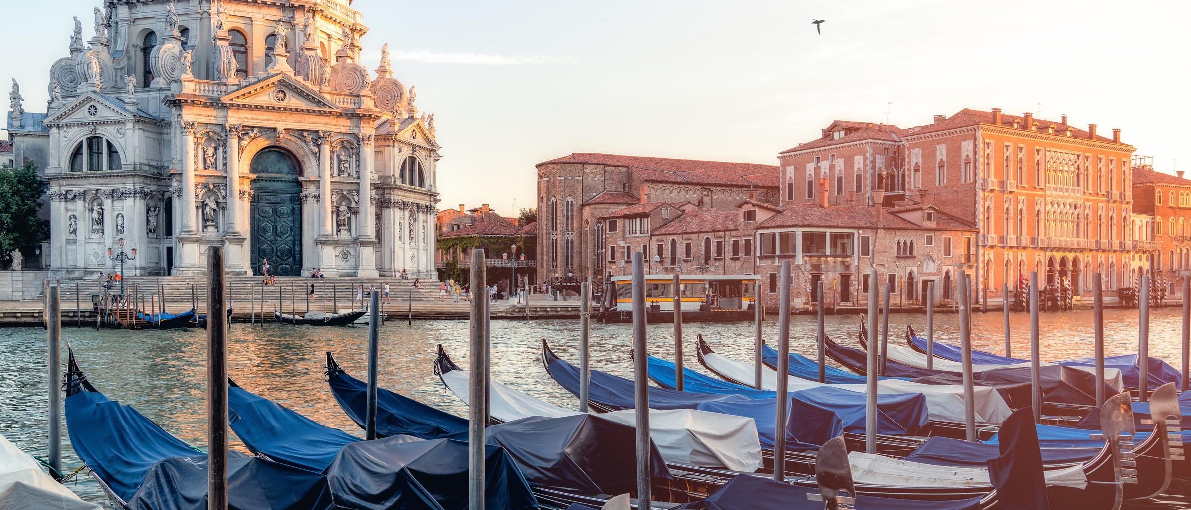 Book A Flight Now And Discover The World Lufthansa