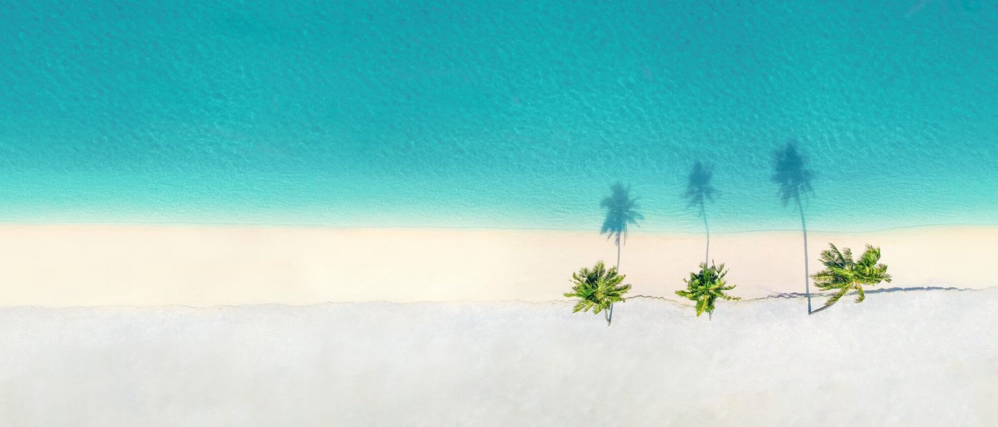Palm trees on the sandy beach and turquoise ocean from above