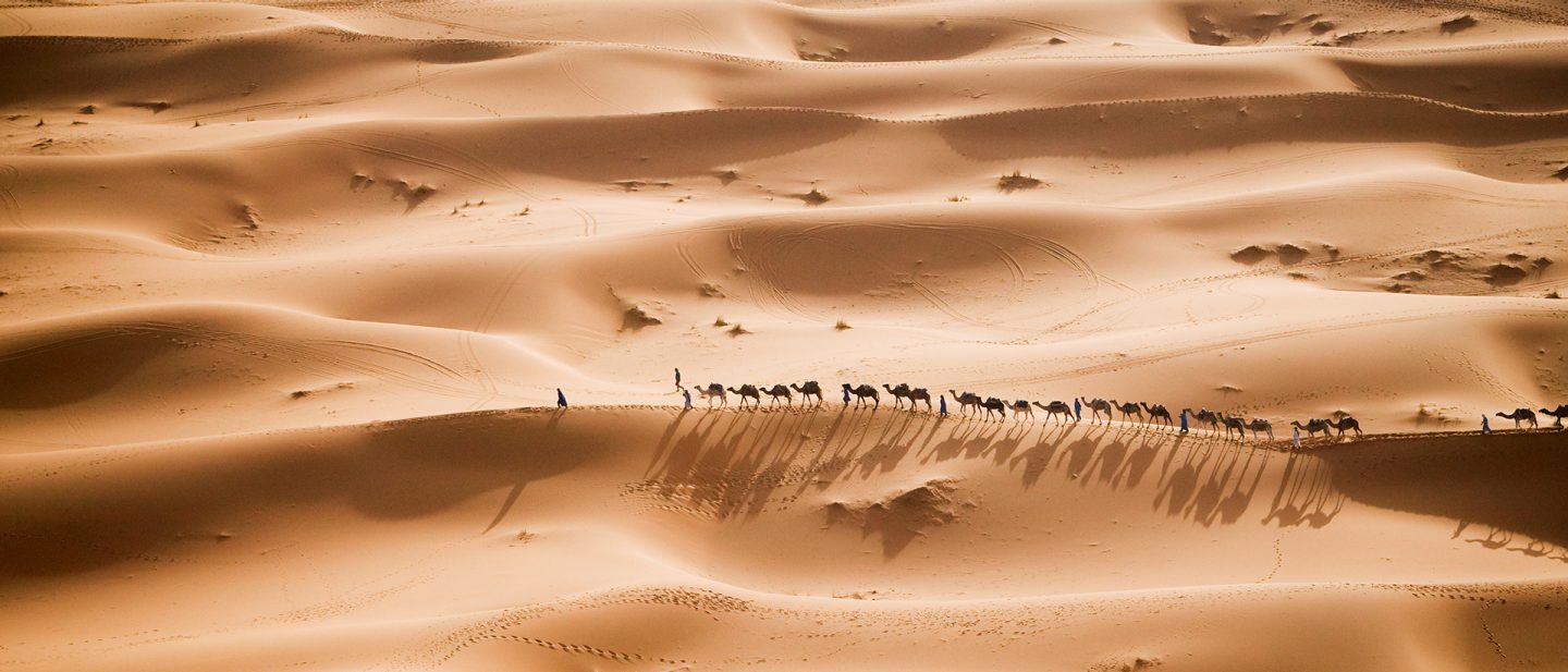 A camel caravan travels in a long line through a vast desert landscape with sand dunes