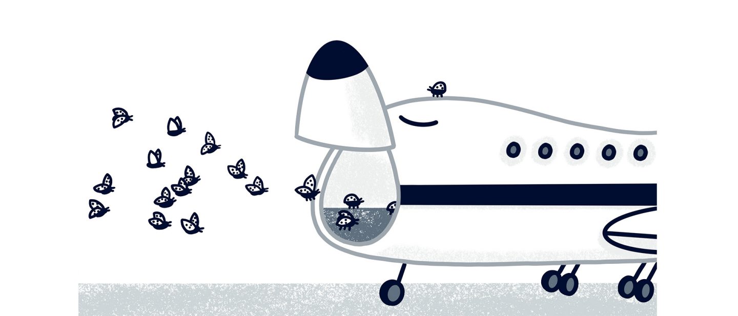 Illustration of an airplane with open nose door releasing butterflies and ladybugs on a runway.