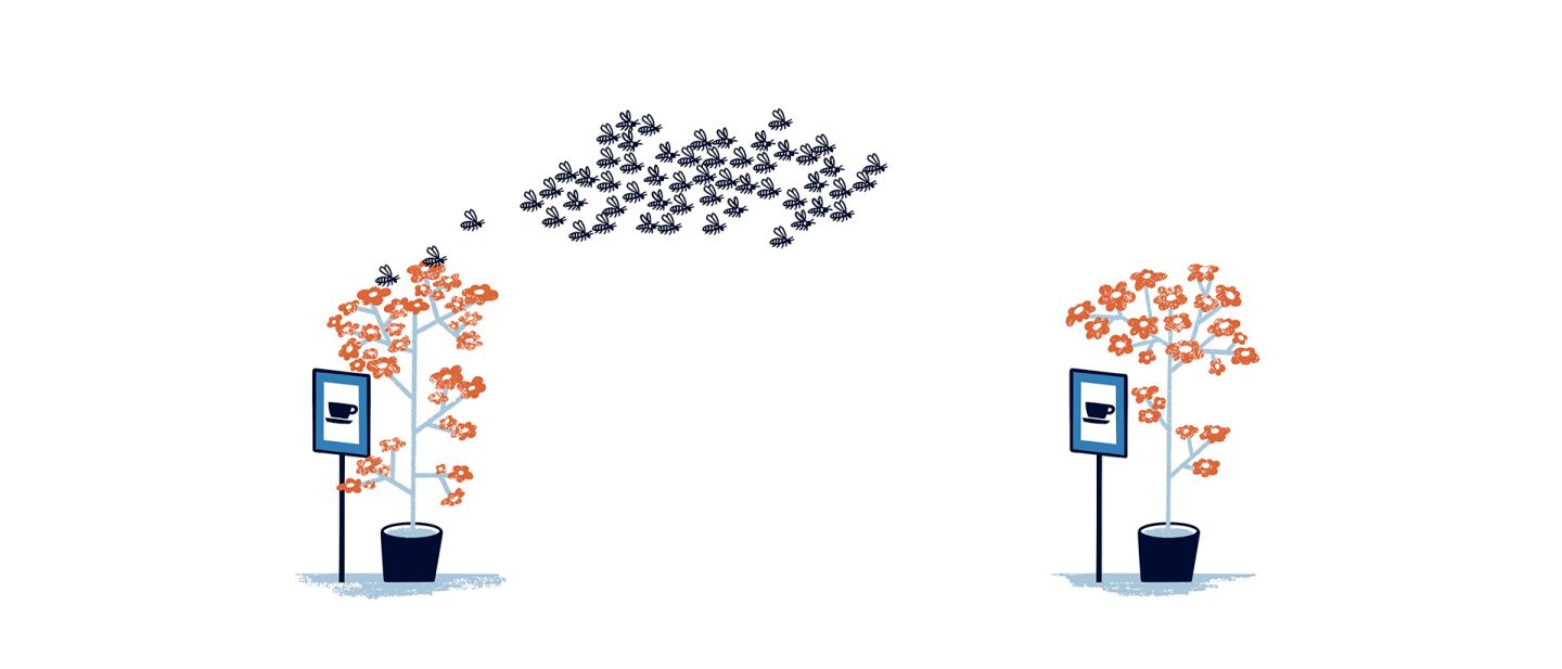 Illustration of two potted flowering plants, one being approached by a swarm of bees
