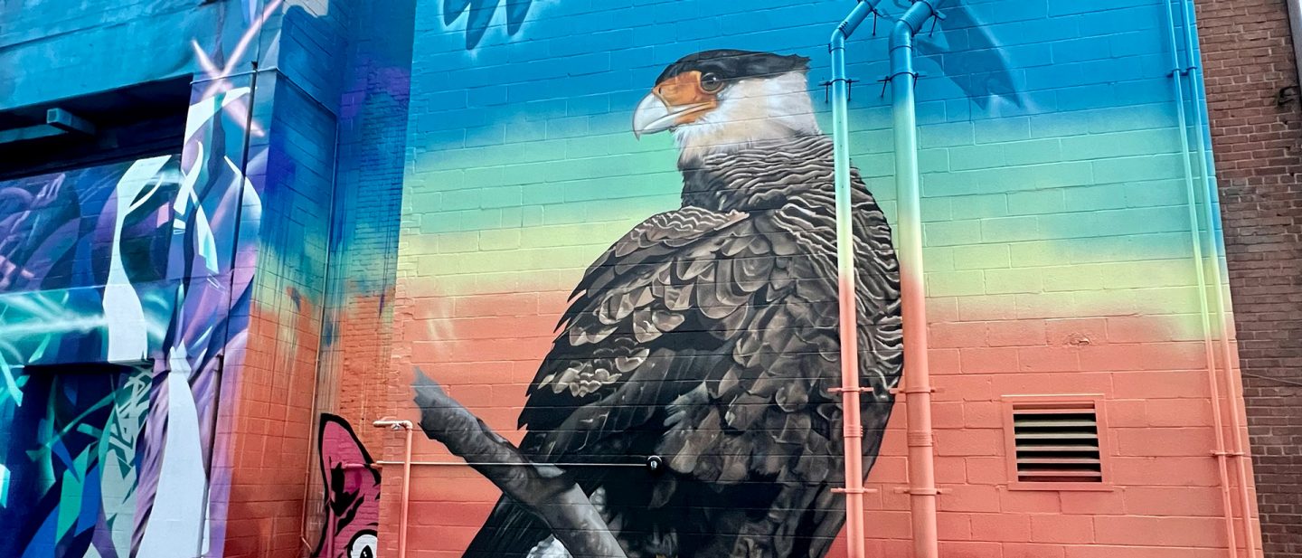 Mural of a bird of prey against a rainbow background on the façade of a house in Luminous Lane