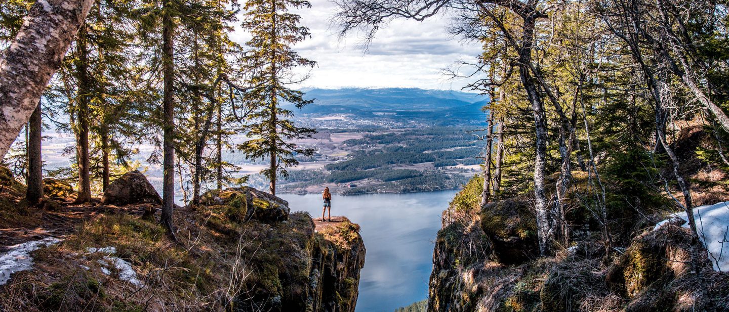 Person stands on a forested cliff in Nordmarka overlooking a fjord and a vast landscape