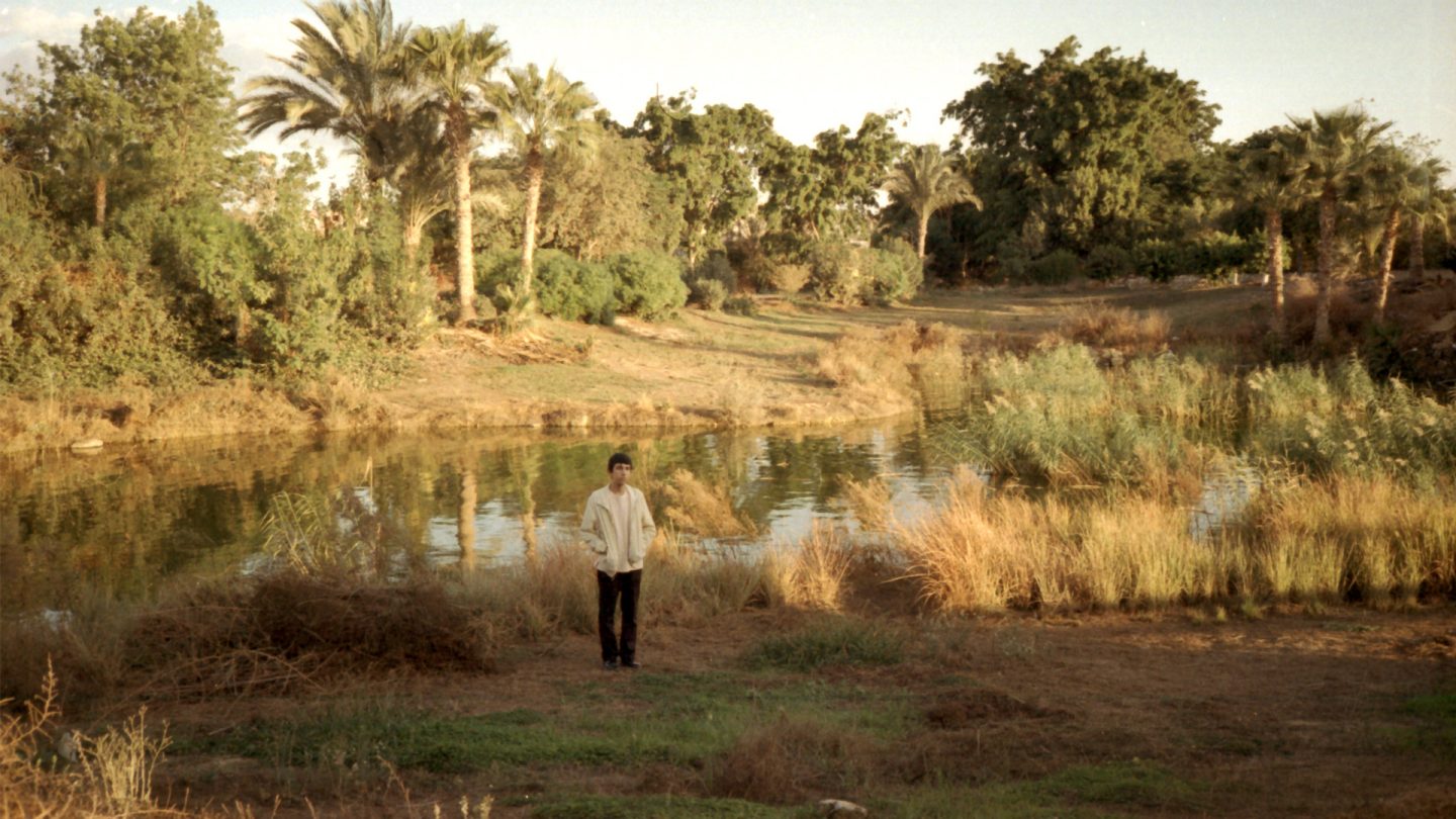 Young man standing by a pond with palms and trees in warm evening light
