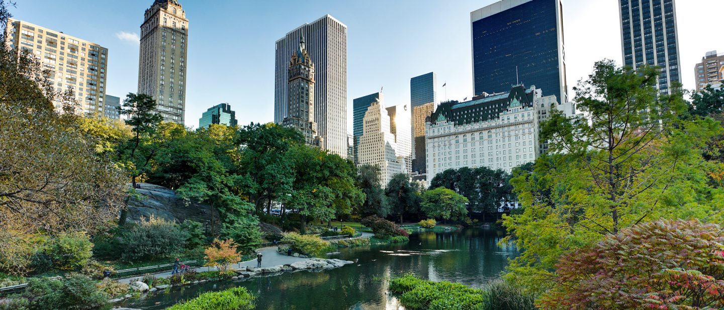Central Park pond with New York City skyline in the background