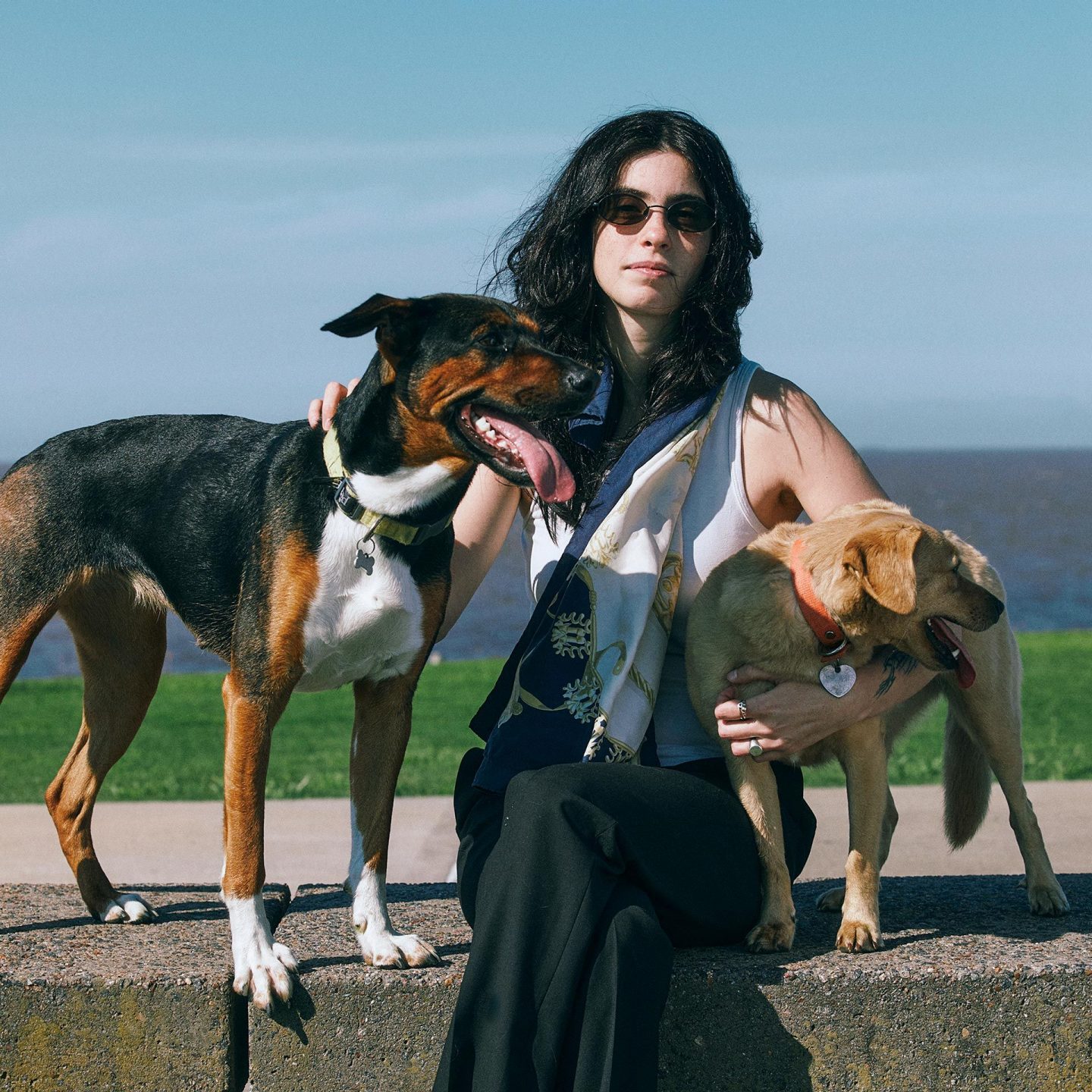 Franzizca is sitting outside in front of a meadow with two dogs; water can be seen in the background.