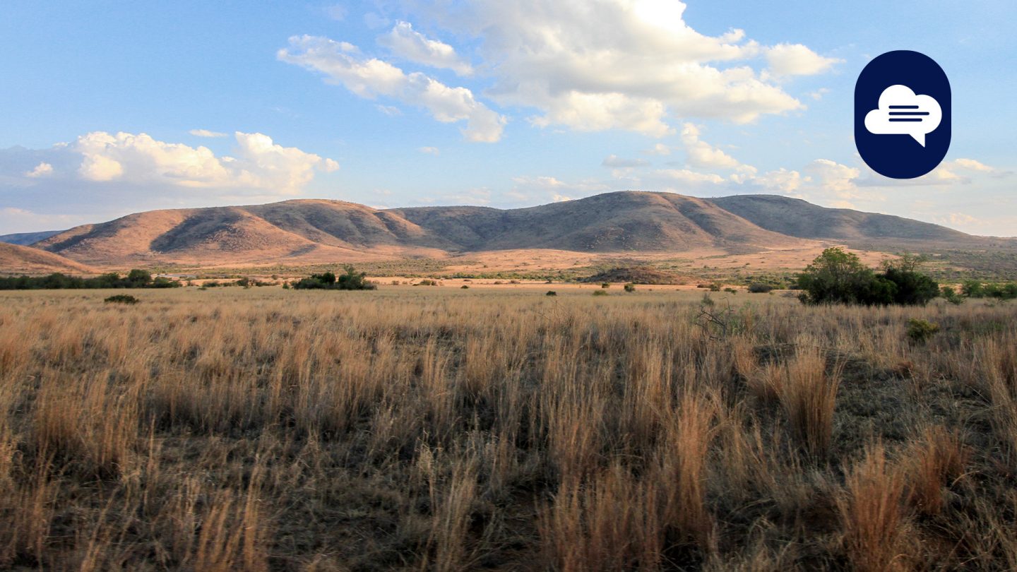Team Stories: Landscape of the national park near Johannesburg.