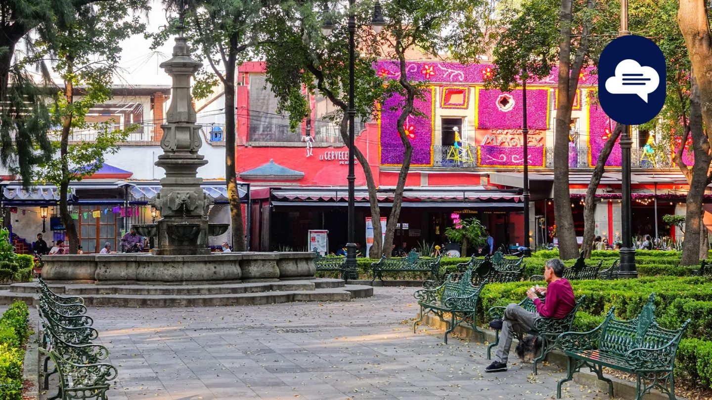 Team Stories: A man rests on a park bench in the Jardin Centenario in the Coyoacan district of Mexico City.