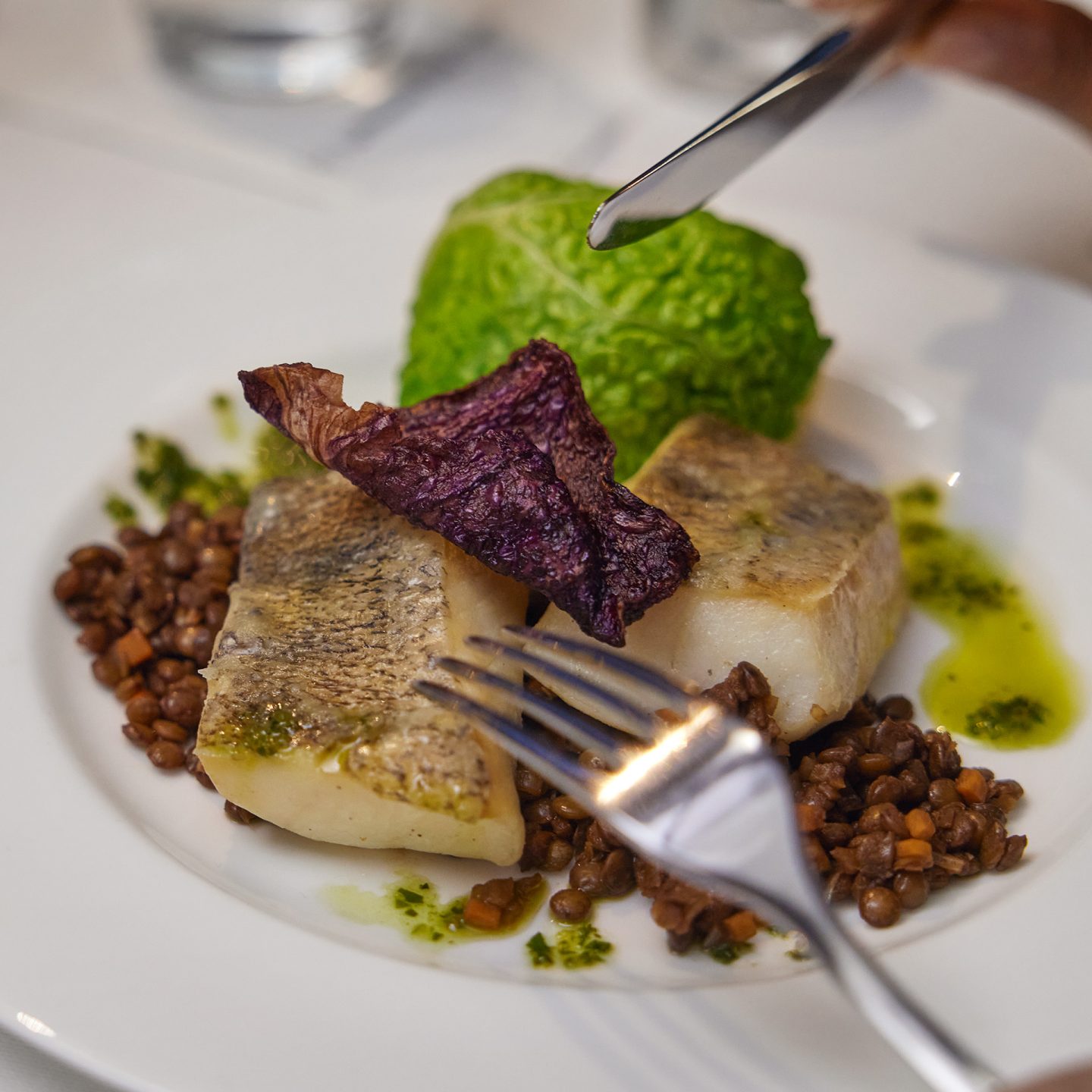 Lufthansa First Class meal consisting of fish fillet, lentils, lettuce, and decorative garnishes on a white plate
