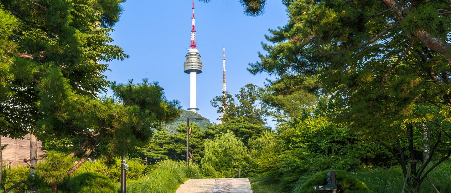 Ein üppig grüner Parkweg in Seoul führt zu einem beeindruckenden Aussichtsturm unter einem klaren blauen Himmel