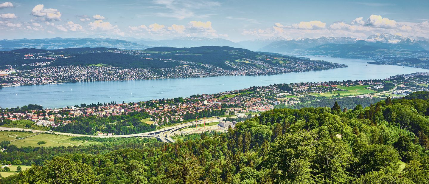 Panoramablick auf den Zürichsee mit Alpen und grüner Hügellandschaft