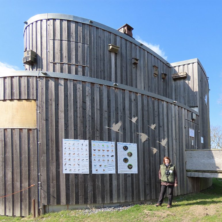 Eine Frau steht vor einer modernen Infostation aus Holz mit Schautafeln und Vogelmotiven